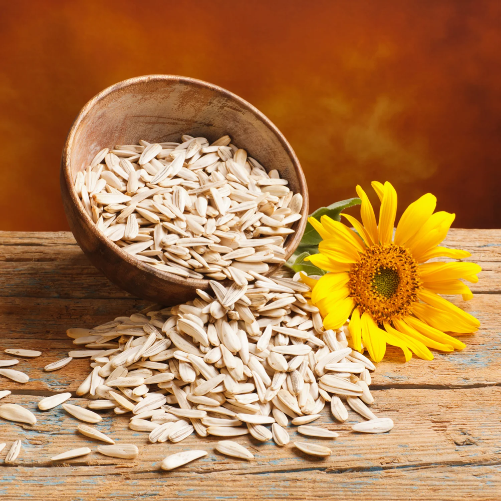 Super Seeds